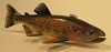 Minnesota fishing guide decoys