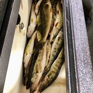North Long fishing